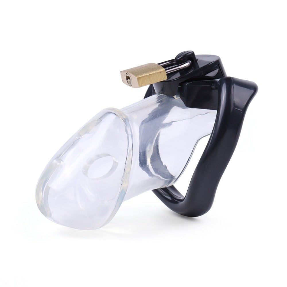 Unveil Desire: Holy Trainer V2 Transparent Unveil Desire: Holy Trainer V2 Transparent